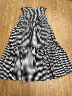 Everlane Black and White Gingham Button-Front Midi Dress